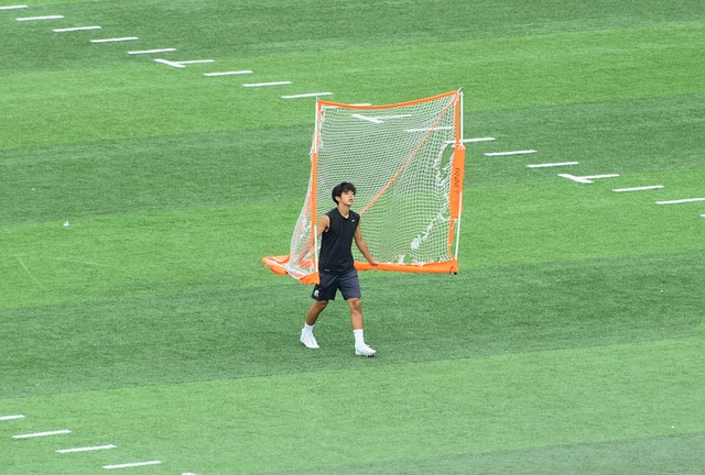 环境中得以