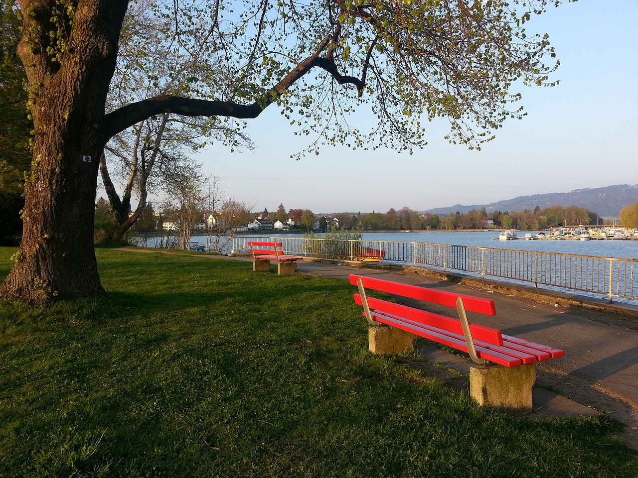 数据更抢眼 数据更抢眼