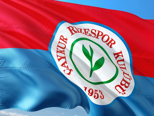 我们拭目以 我们拭目以