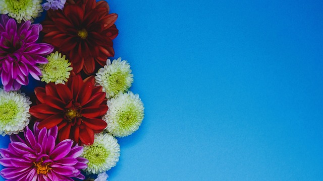 与扎实的 与扎实的