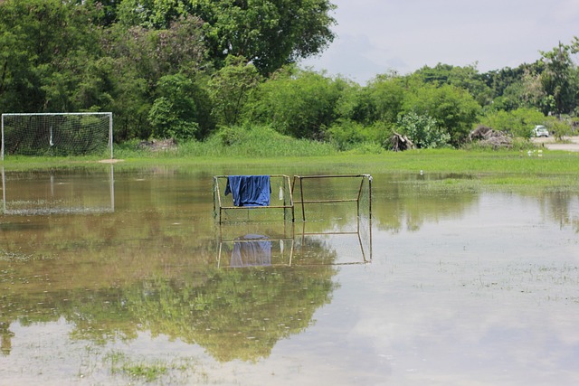 与之相比 与之相比