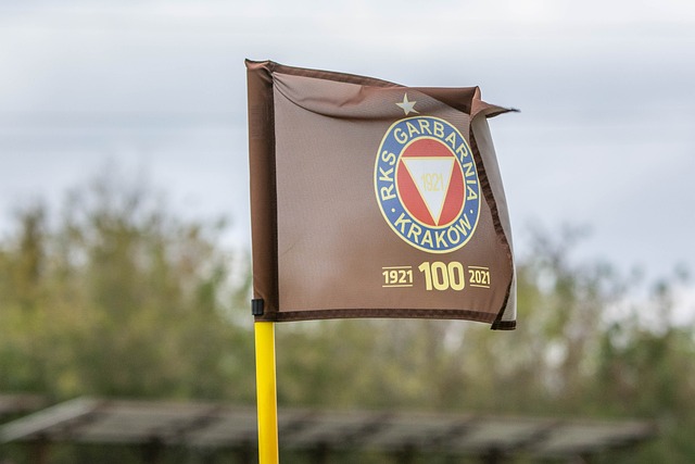 未来国际赛 未来国际赛